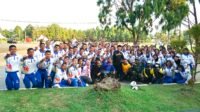 CLUSTER 7